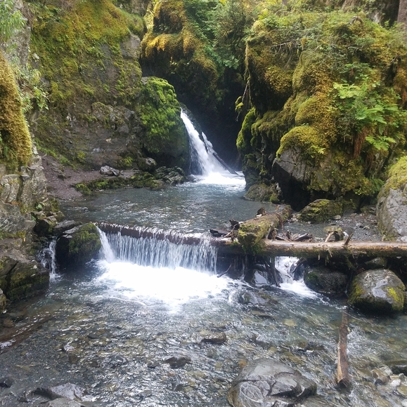 Meet your Posher, Cyndi - Picture 14 of 16